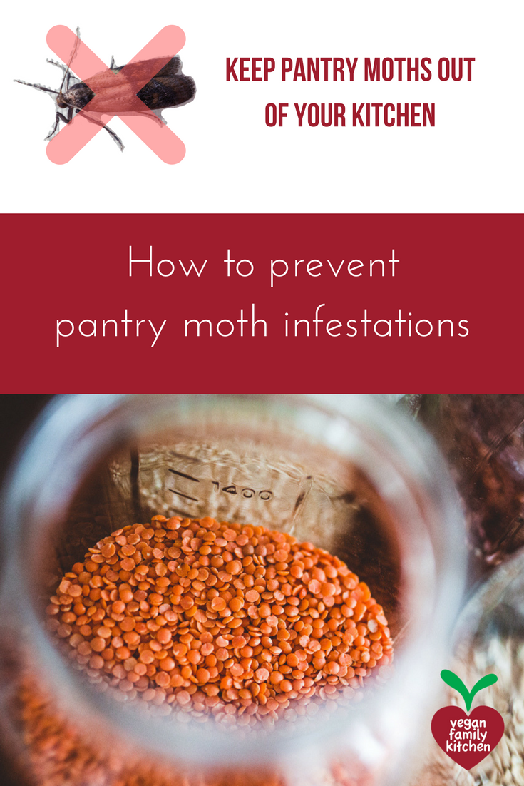 How to prevent pantry moths
