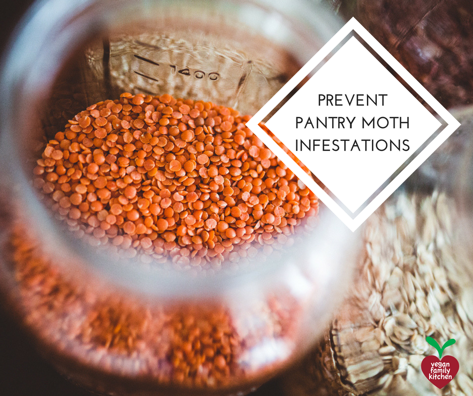 How to prevent a pantry moth infestation - Vegan Family Kitchen