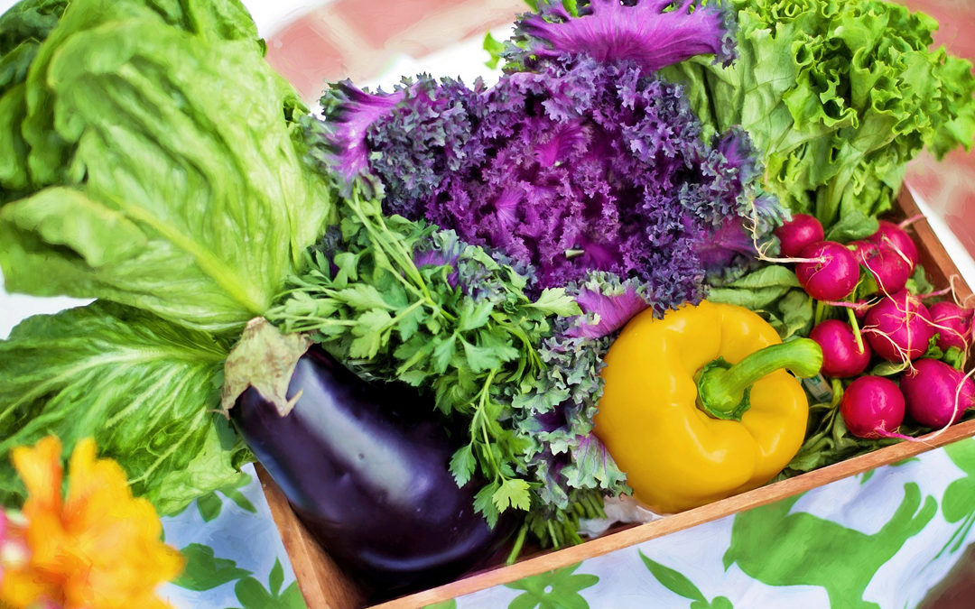 Vegan meal plan template summer vegetables