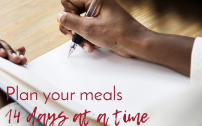 Vegan meal plan template: do it 2 weeks at a time