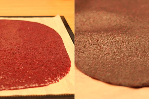 Should I buy a dehydrator - Vegan- Fruit leather before and after