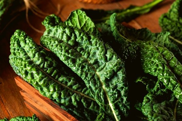 Vegan grocery list - Vegetables - Lacinato kale