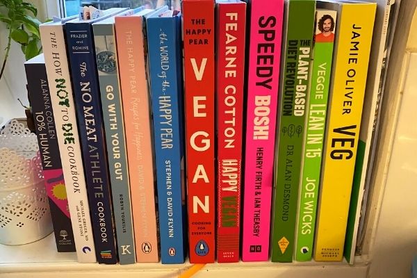 Vegan meal prep for health - Katie heals her gut - Gut-friendly cookbooks
