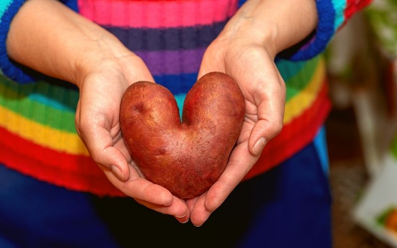 Potato heart - Are CSA boxes worth it?