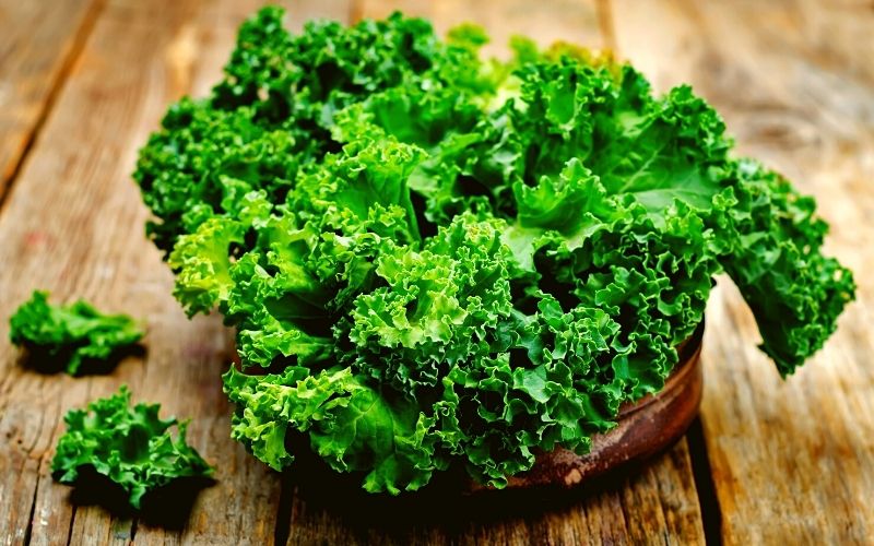 Green leafy greens are a great source of calcium for vegans